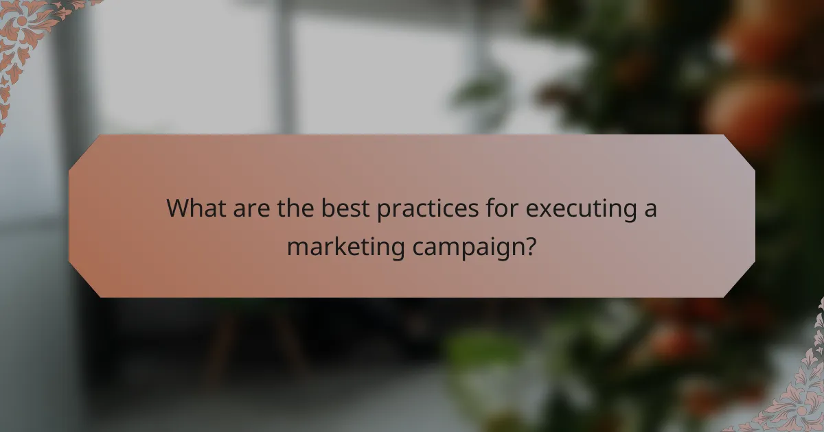 What are the best practices for executing a marketing campaign?
