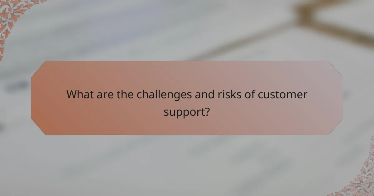What are the challenges and risks of customer support?