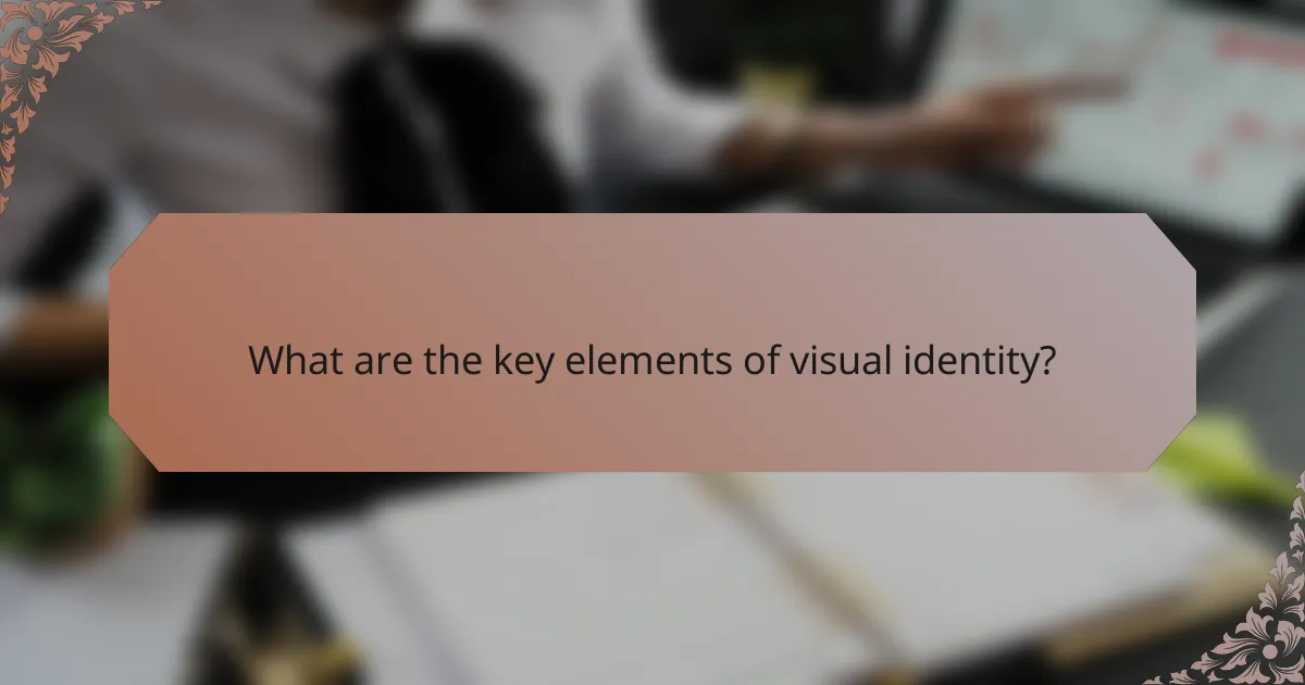 What are the key elements of visual identity?